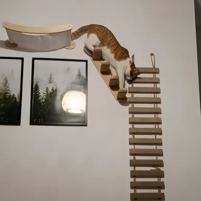 Cat Climbing Shelves Wall Mounted Kitty Nest & Perch Scratching Rope For Cat Claws Cat Scraper Furniture Cat Tree 2
