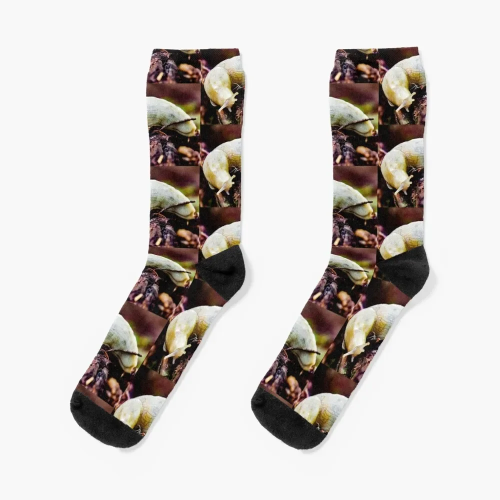 Calcetines de algodón con liguero brillante para hombre y mujer