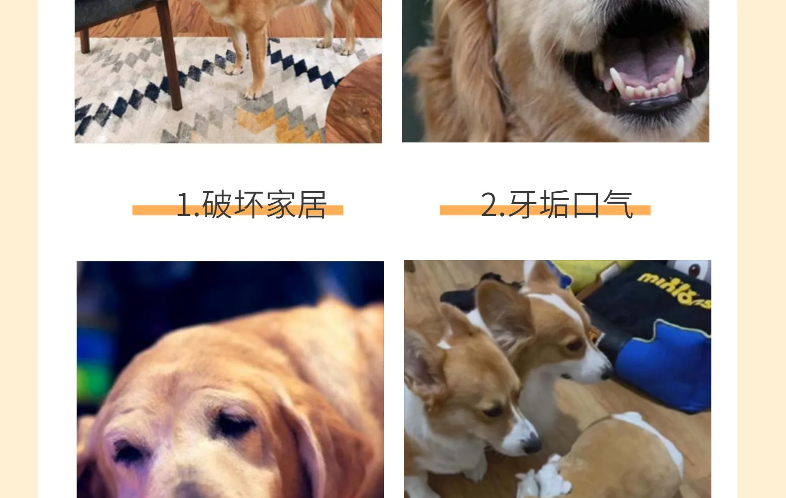 Description Picture 4 of itemBones Shape Puppy Plush Squeak Chew Toys for Aggressive Chewers Pets Dogs Puppy Playing Cleaning Teeth Pet Dog Toys