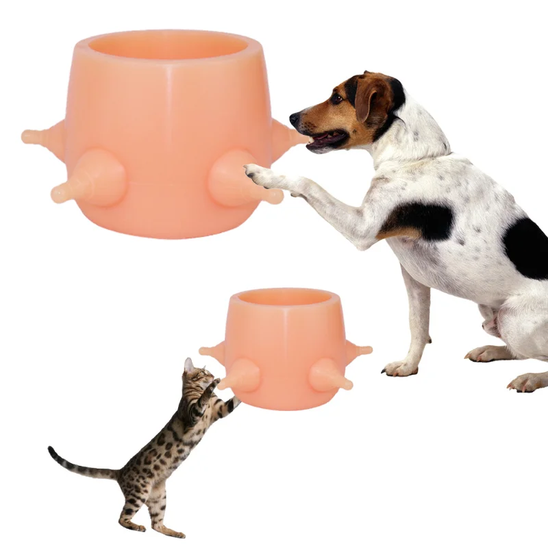 BubbleMilkBowlSilicone5NipplesKittenRabbitPuppyNursingStation