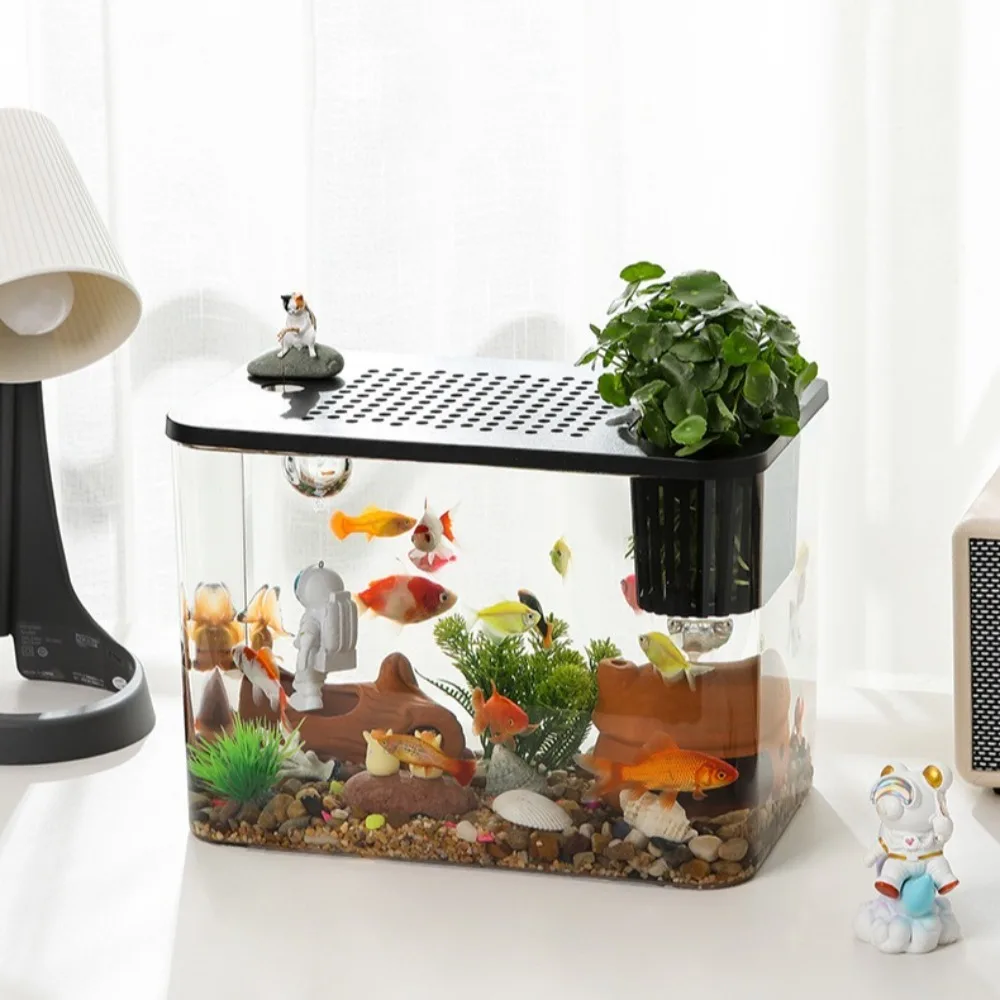 Transparent Hydroponic Fish Tank 3