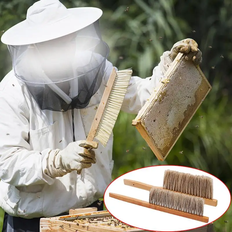Bee Sweep Tools Soft Bristle Brush Long Handle Wood Honey Brush Wasp Bee Sweep Beekeeping Equipment Beekeeping Tools