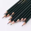 12pcs 2B Graphite Professional Drawing Pencils Sketch Pencil Black Lead Pencils for Sketching 3