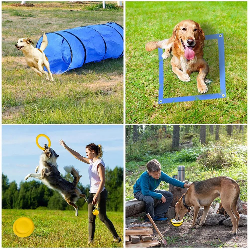 Pet Agility Training Tunnel Folding Crawling Tunnel Cat Dog Channel Pet Outdoor Sports Training Supplies Toy