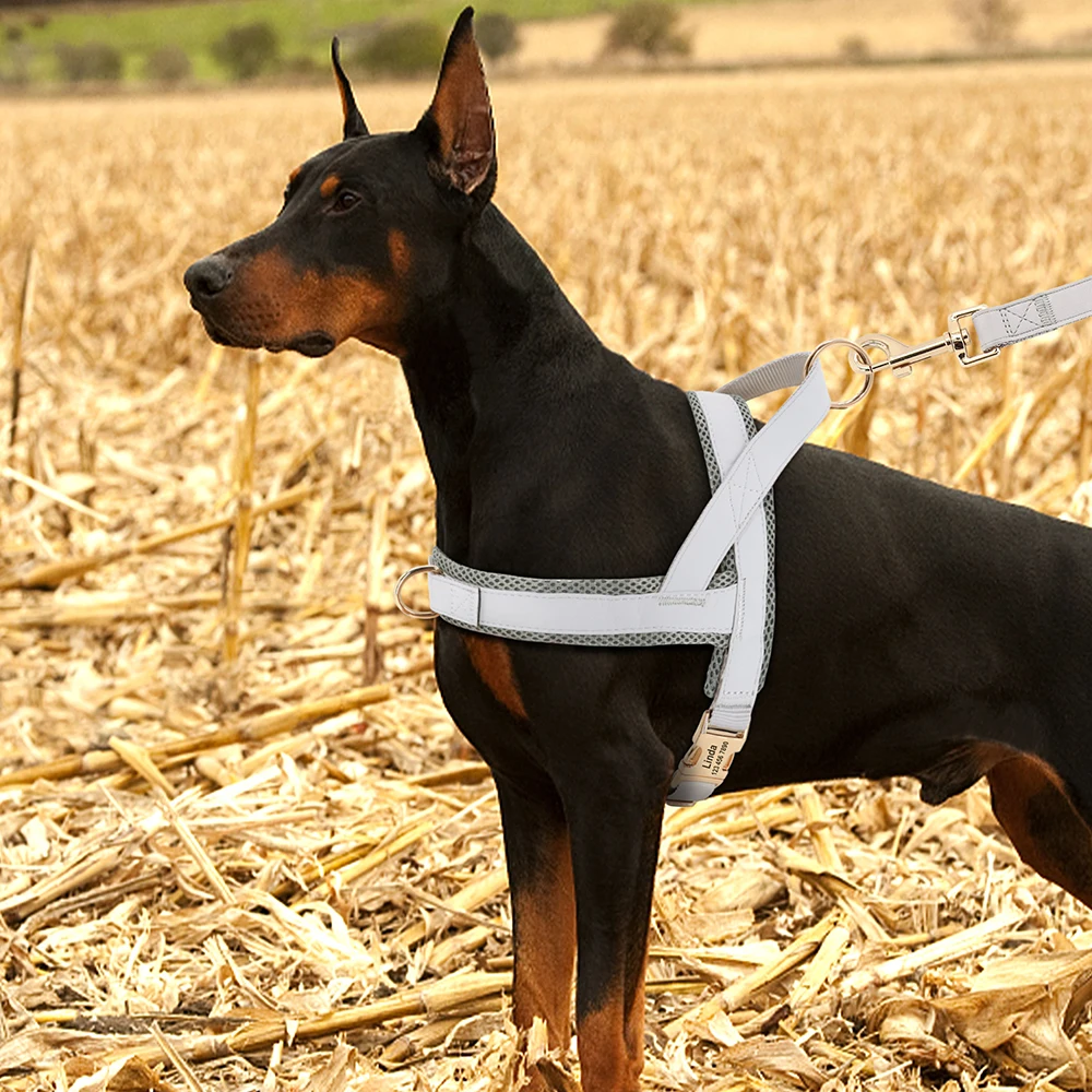 tração colete de arnês de cão de