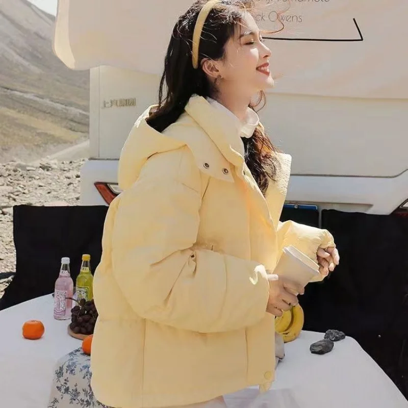 Рисунок 5 - Новинка 2023, маленькое молочно-желтое