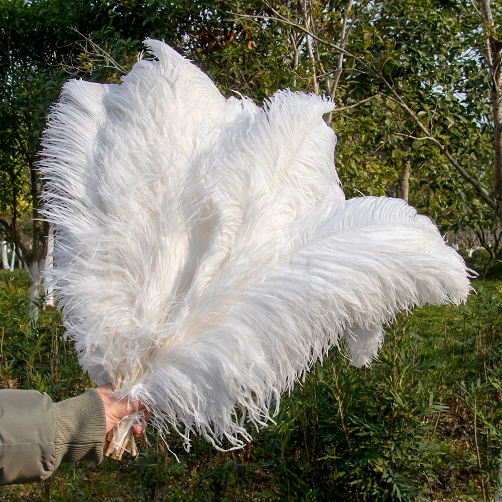 50/100pcs White Ostrich Feathers for Wedding Party Centerpieces Home  Decorations