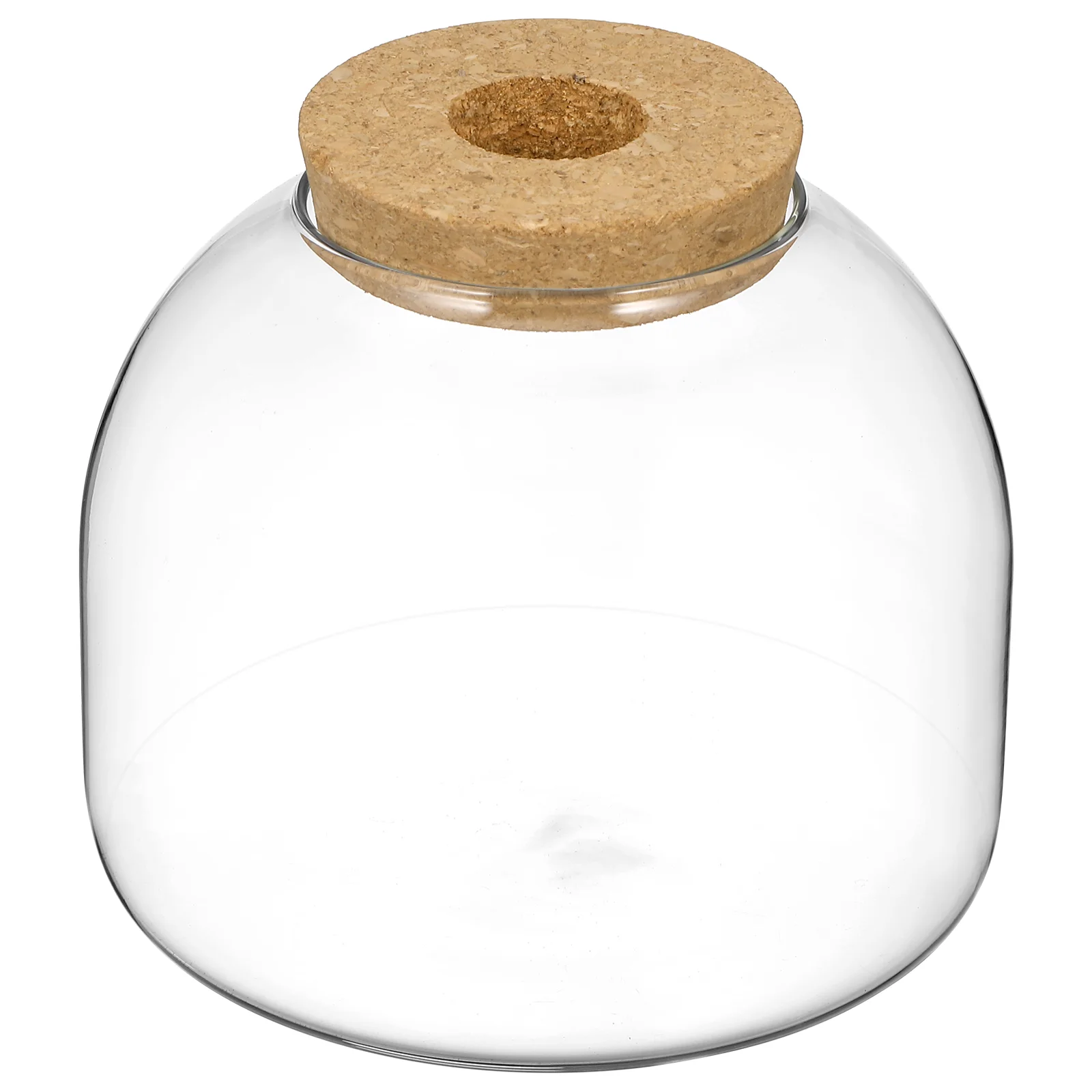 Plant Terrarium Container Cork Glass Bottle Plant Terrarium Large Micro Landscape Flower Pots Ecosystem Small Container Bracket Cookie Jar Office