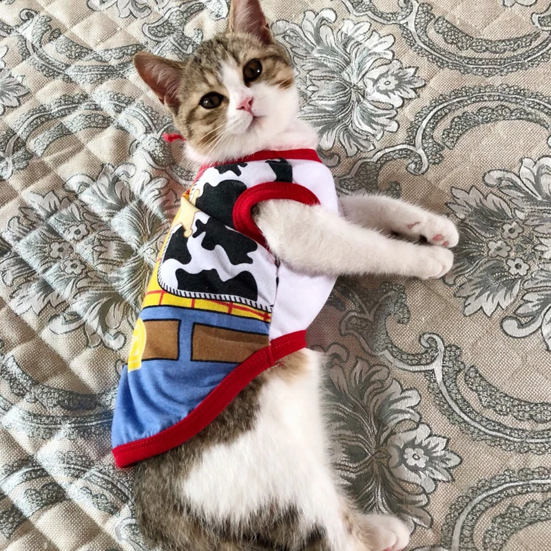 Cute Cat Shirt 1