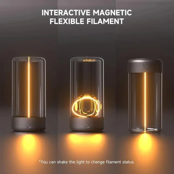 Portable Magnetic Ambient Quantum Light 1