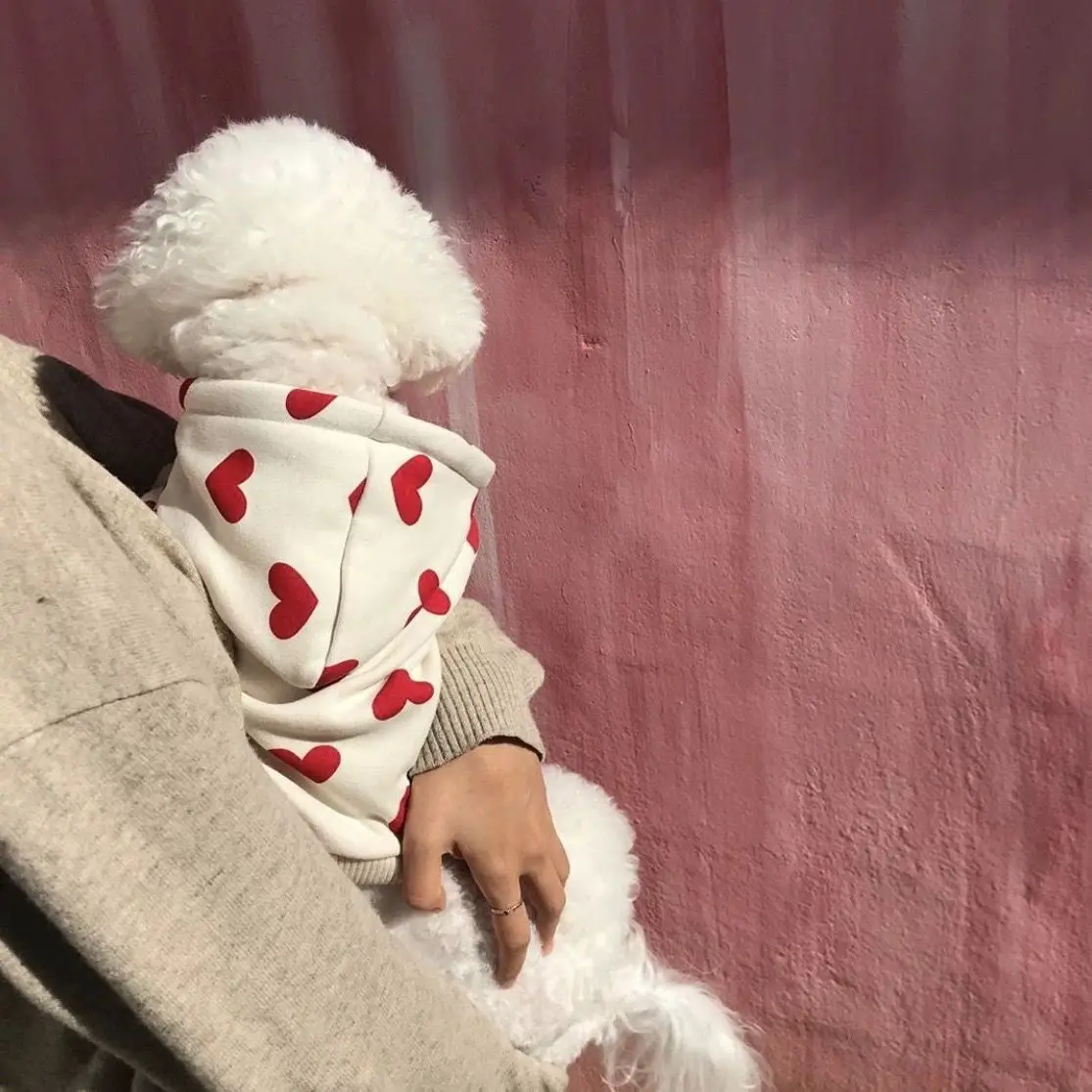 Fashion Dog Hoodie Sweatshirt For Small Medium Dogs, Chic Fashion Puppy Clothes With Heart Design, Cute Hooded Pet Coat Outfits_voghion.com