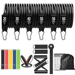 Enhanced Fitness Resistance Band Set for Home Workouts and Bodybuilding (250lbs-19pcs)