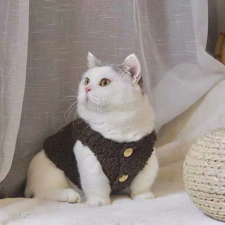 고양이 옷, 따뜻한 양털 조끼, 가을 겨울 테디 포메라니안 애완동물 겨울 옷, 귀여운 한국 옷