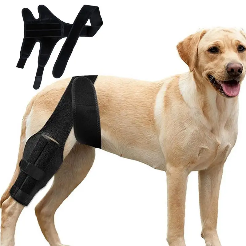 Adjustable Black Dog Back Leg Brace for Injury Care