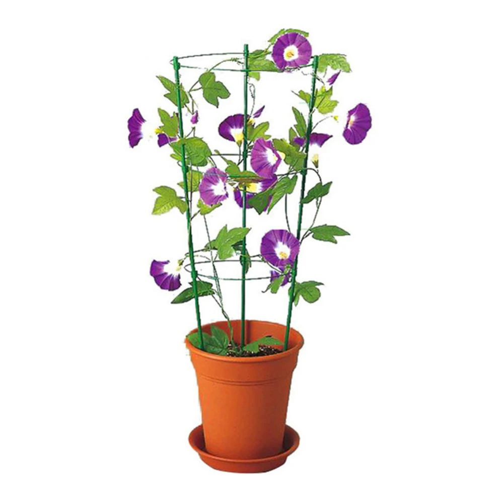 

Support Frame Plant Potted Climbing Vine Rack Garden Decor High Quality Plant Potted Plastic Coated Steel Flower