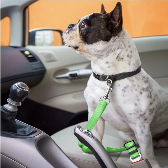 Ceinture sécurité animaux voiture - Image 3