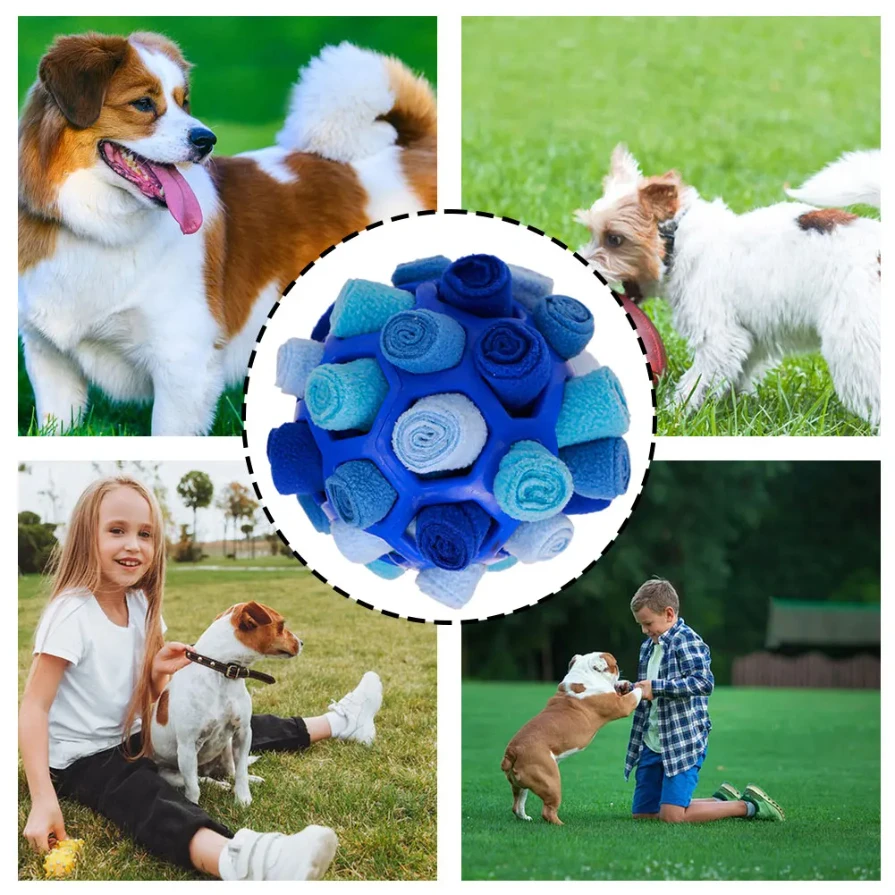 Pelota olfativa para perros: juguete innovador que se agita para entrenar a tu mascota y limpiar sus dientes. Ideal para cachorros y aliviar el aburrimiento. - Image 5