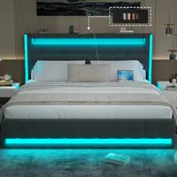Queen Bed Frame with Adjustable Headboard & LED Lights, Upholstered Platform Bed Frame Queen Size with Type-C, Dark Grey 1