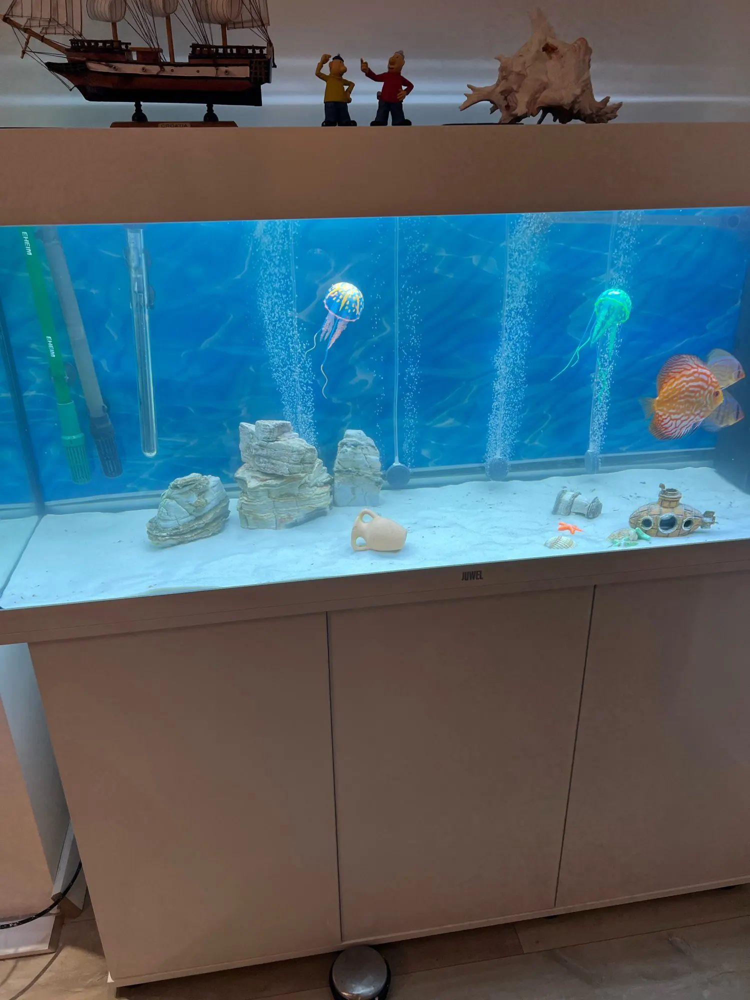 수중 세계 해저 배경 바다 해저 물고기 산호 수족관 물고기 탱크  초상화 사진 배경 사진 스튜디오