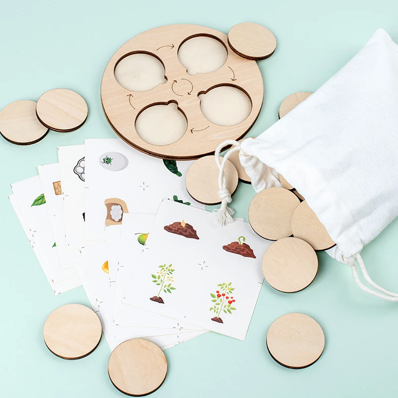 Montessori Life Cycle Board: Interactive Biology and Sensory Education Kit