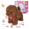 Interactive Electronic Puppy Toys for Kids, Walking Dog Toy with Leash, Remote Control, for Girls and Boys Aged 3+,birthday gift 1