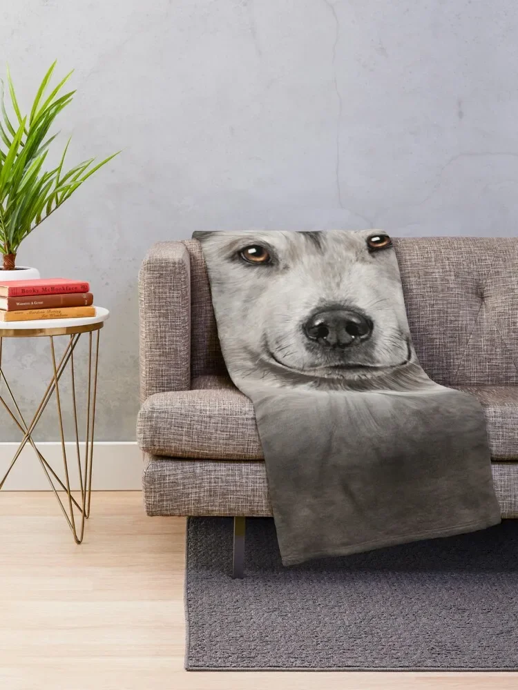 ���� ���� �˷���ī �����Ʈ �� 3D ���� ������ ���, �ö��� ���� ���ſ� ���