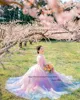 Giyu Korea Hanbok Wedding Dresses Photoshoot Long Sleeves Princess Bride Dress Formal Occasion Dress Custom Made Floor Length 5