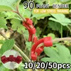10/20/50pcs 90 Degree Plant Benders Trainer Growth Manipulation Tutors For Plants Clips Bending Twig Clamps Branche Accessories 1