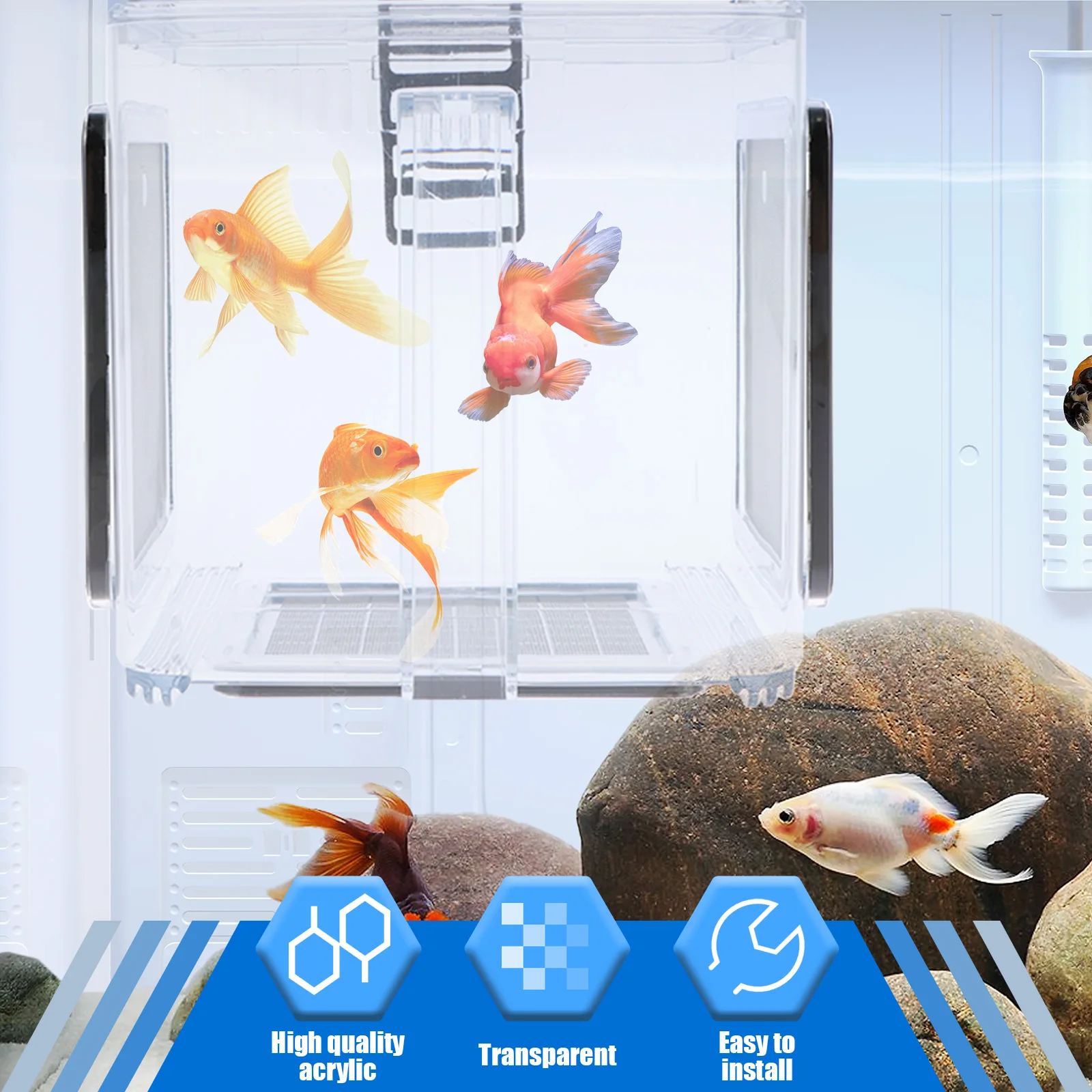 Clear Acrylic Fish Breeding Box with Detachable Mesh for Aquariums