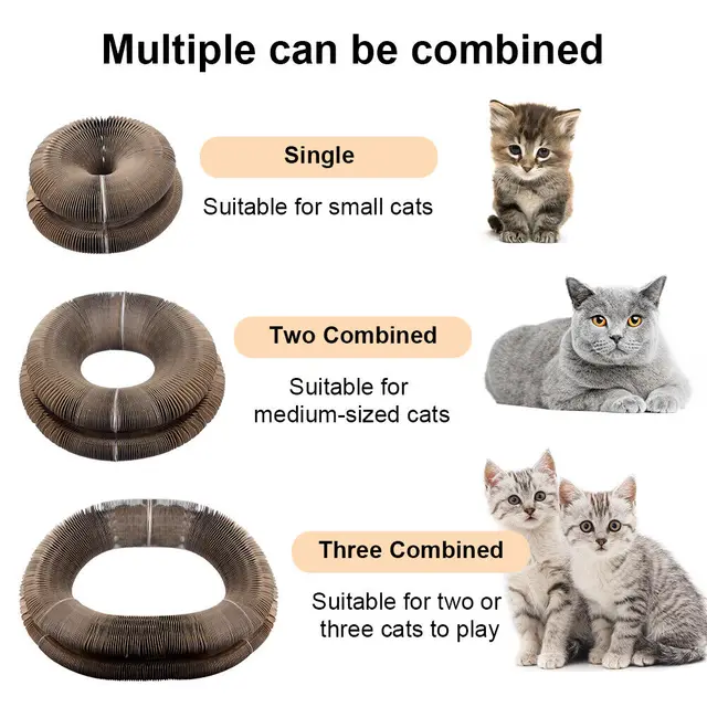 Foldable Cat Scratcher Bed Toy 2