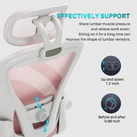 Ergonomic Mesh Office Chair, High Back Computer Desk Chair with Adjustable Lumbar Support, Pink Task Chair with Headrest 2