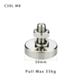 C30L long screw M8