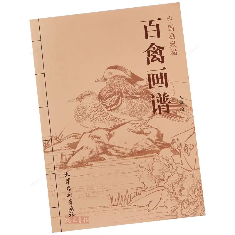 

Birds Painting Collection Art Book Coloring Book for Adults Relaxation and Anti-Stress Painting Book