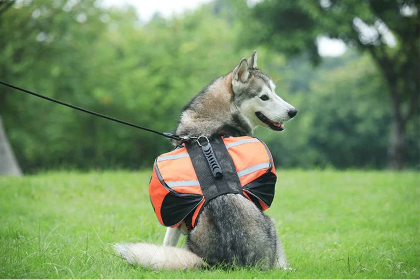 Reflective Dog Saddle Backpack Harness 3