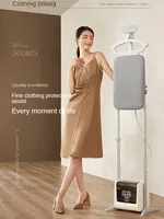 Bear 220V Clothes Dryers Hanging Ironing Double Rod Steam Booster Pressing Machines Iron Flat Vertical Hand-Held Wet Dry 1