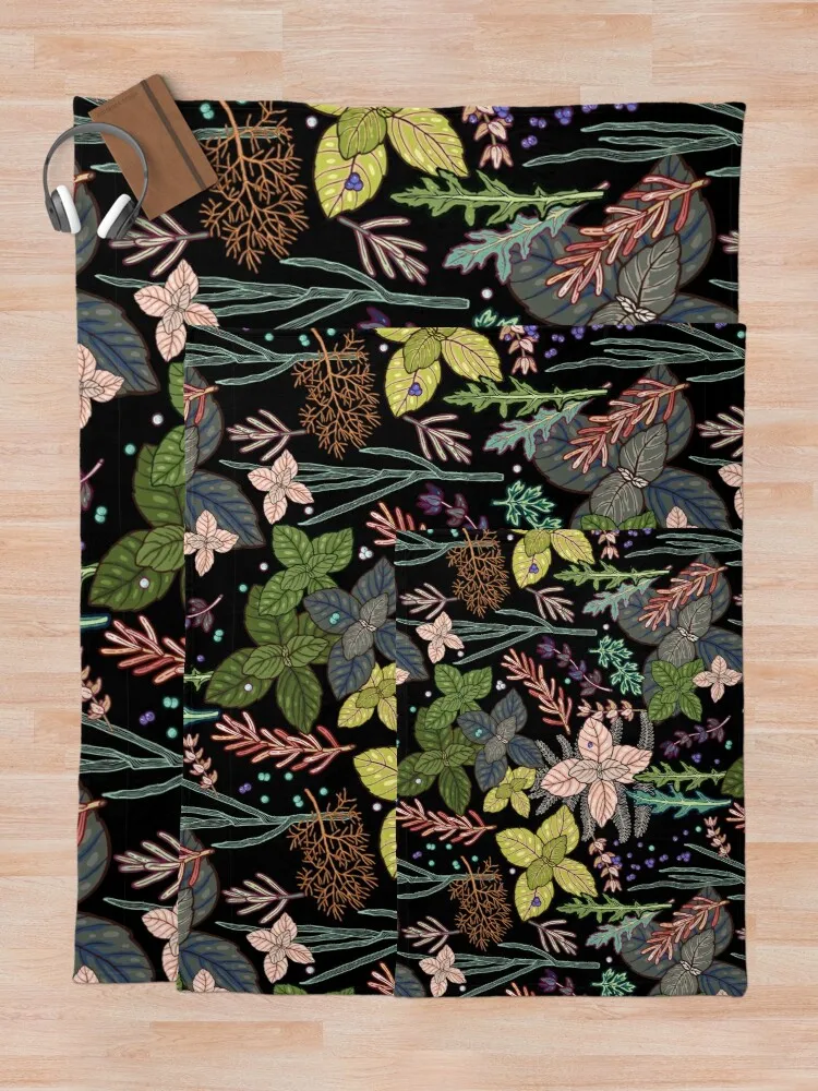 ���� �� ���, �ź��� ��� ���