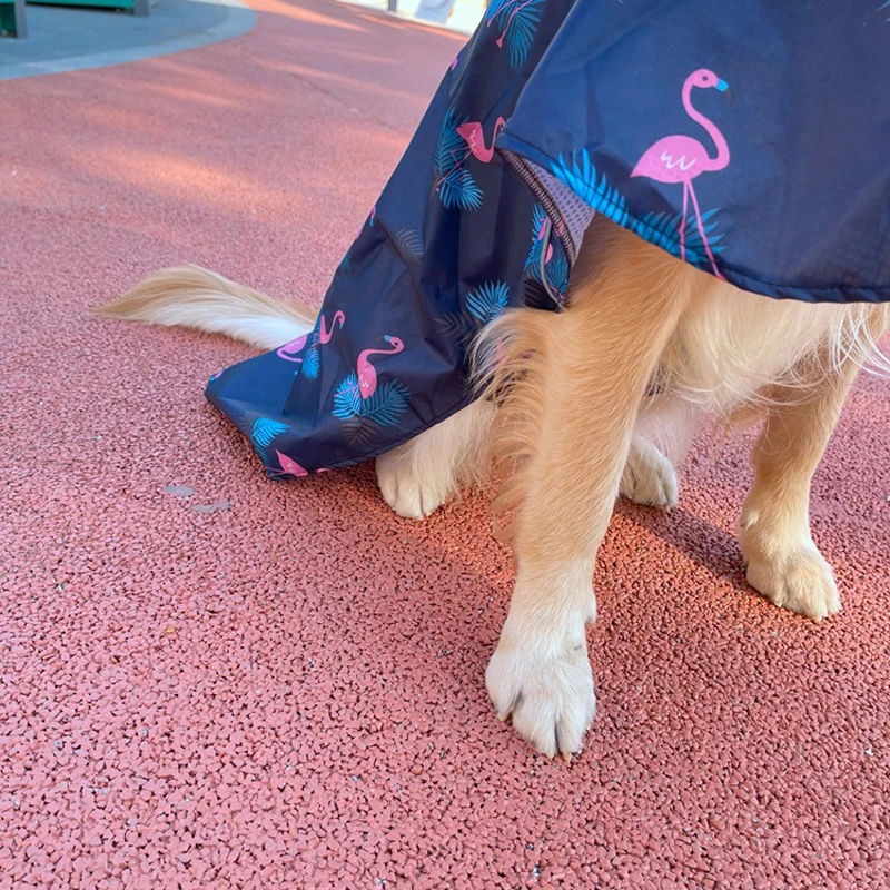 Make Your Dog Look Cuter And Funnier With Cartoon Raincoat