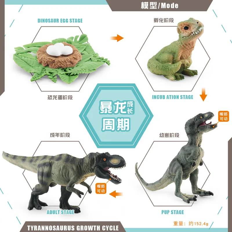 Dinosaur Growth Cycle Dinosaur Model Toy Animal Life Cycle Board Children Toys Montessori Teaching Aids preschool cognitive Toys 5
