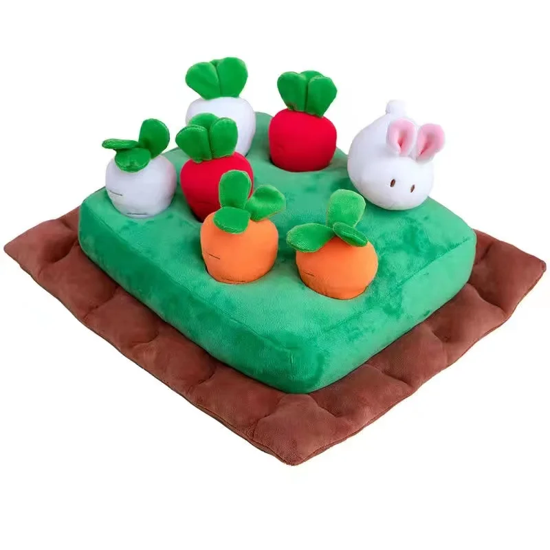 Carrot field
