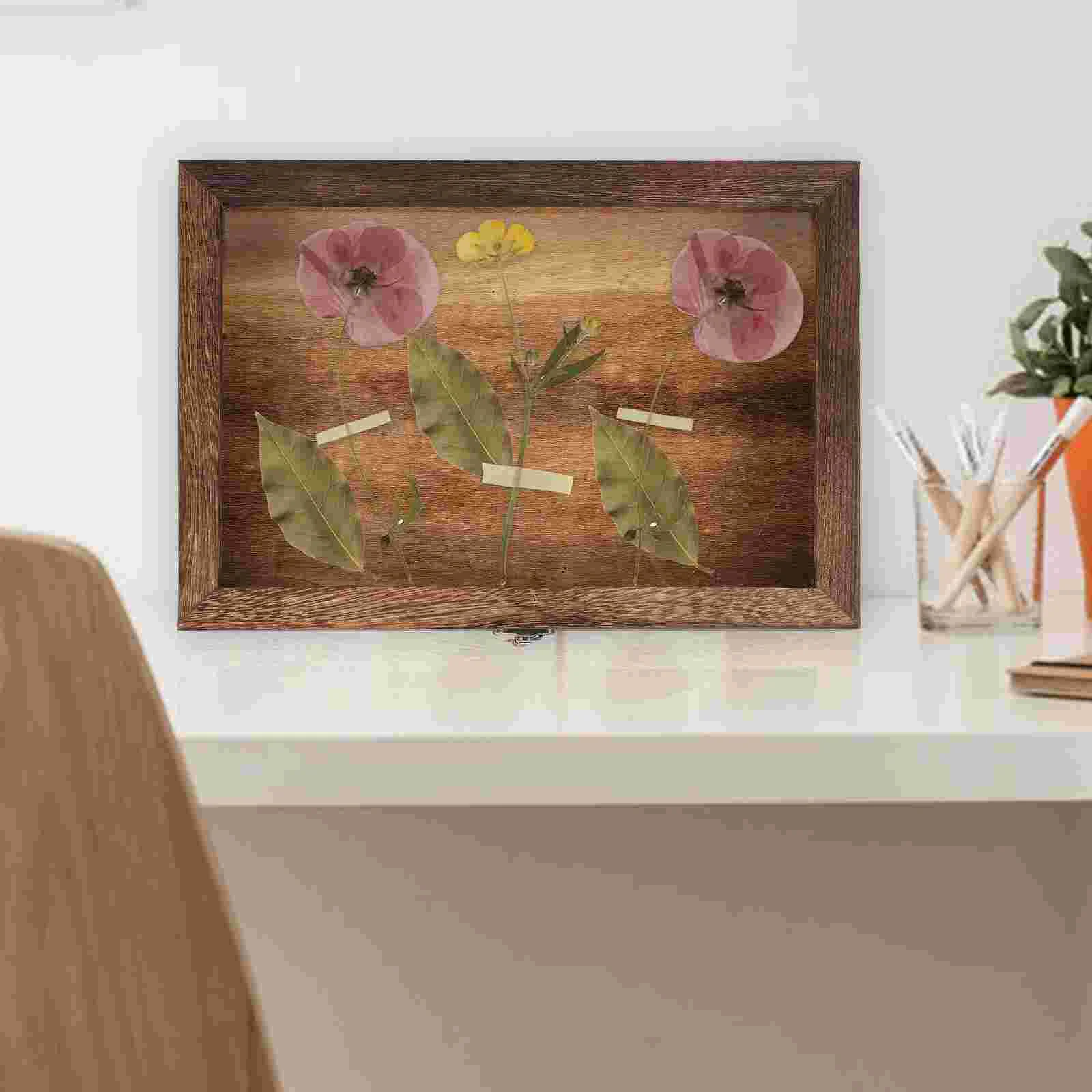 

Artwork Wood Display Stand Insect Showcase Butterflies Specimen Vintage Box Dried Flower Storage Glass Dustproof Bug Frame