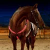 3Pcs LED Horse Legs Chest Tails Straps Horsing Riding Luminous Equestrian Suits Night Lights Visible Horse Equestrian Equipments 6