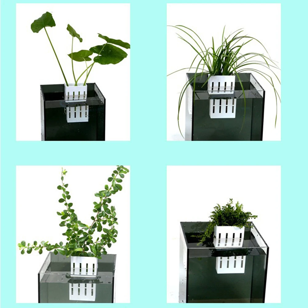 Aquarium-Pflanzenhalter 4 Stück – Für 2,5–8 Cm Beckenkanten, Mit Haken, Für Lebende Pflanzen