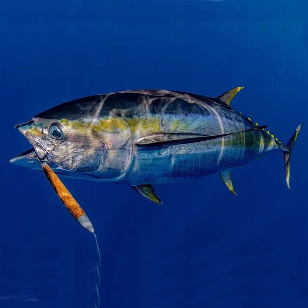 Durable Rigged Cedar Plugs Tuna Lure Perfect Trigger Strikes Swim