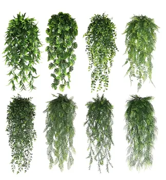 Hanging Persian Fern Vines 1