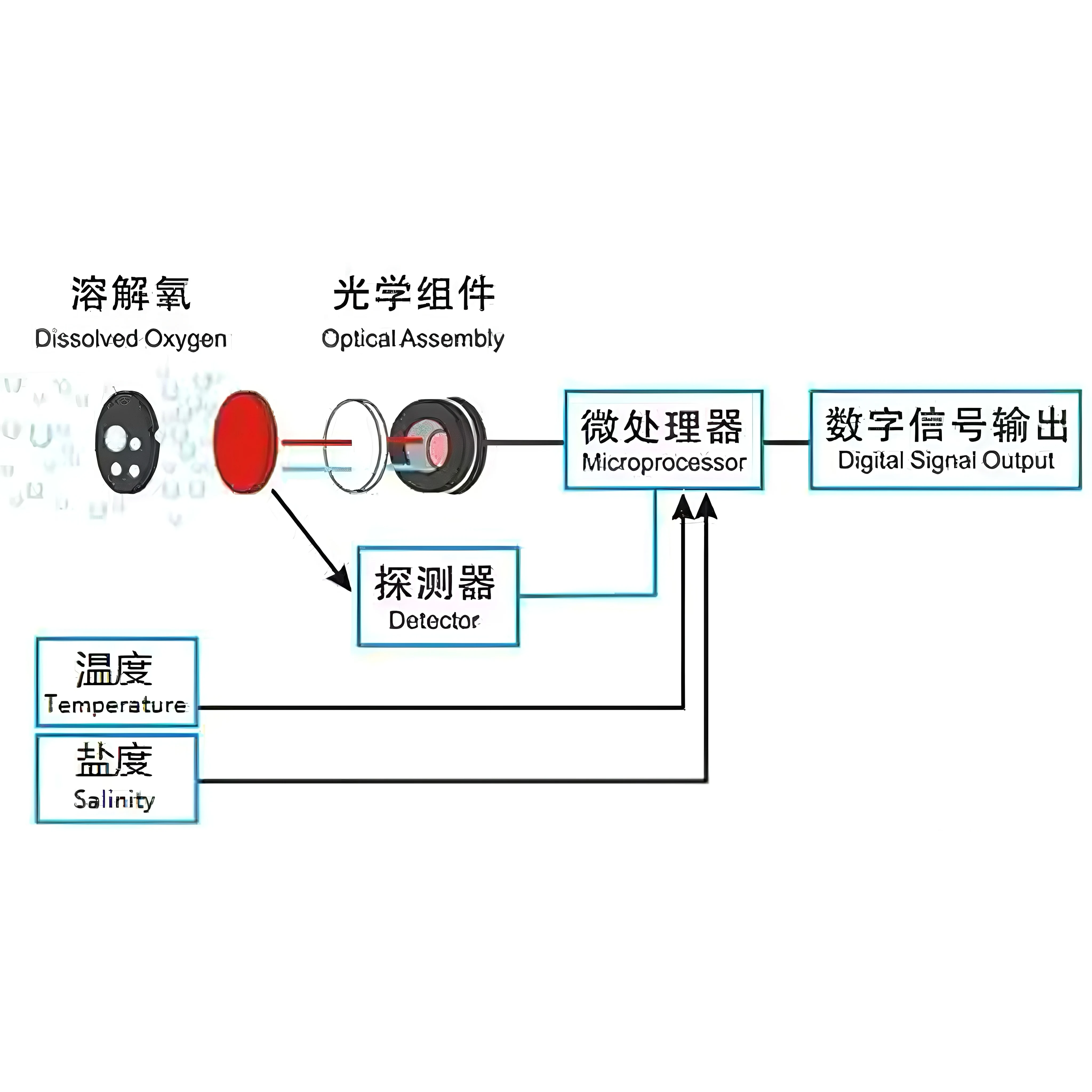 BGT 광학 용존산소 센서 RS485 Modbus RTU 4-20mA 형광 DO 프로브 (폐수용) CE 인증