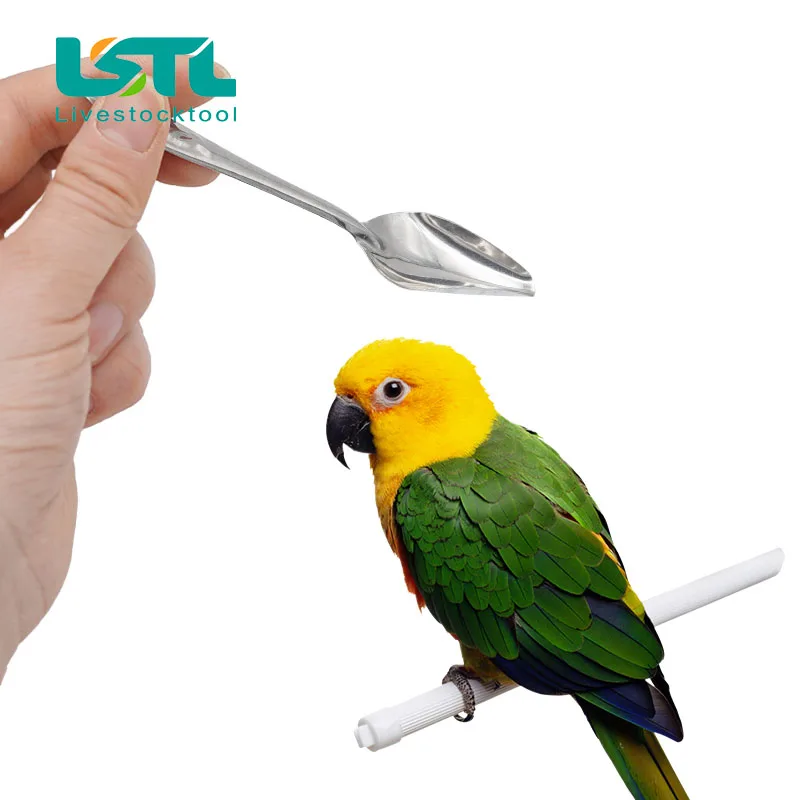 Cuillère D'alimentation En Acier Inoxydable Pour Oiseaux - Longueur 12 Cm - Pour Donner Lait Ou Médicaments Aux Perroquets, Calopsittes