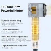 Oley High-speed Hair Dryer 900W Lightweight Powerful Brushless Motor Low Noise Quick Dryer Negative Ionic Blow Dryer 2