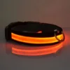 Waterproof  Light  Reflective Pet Adjustable Usb Type-C Recharge Luxury Led Luminous Collar For Dog 1