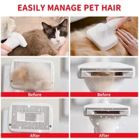 *---Professional Pet Hair Dryer Grooming Vacuum Kit Brushes Smart LED Screen Dog Cat Vacuum Cleaner For Pet Grooming Set 5