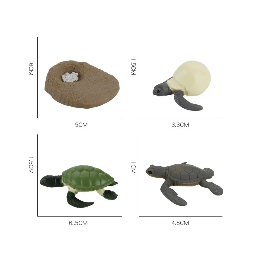 Sea Turtle Life Cycle Educational Toy Set - Marine Animal Figurines
